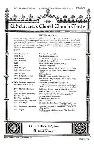 Franz Schubert: Ave Maria