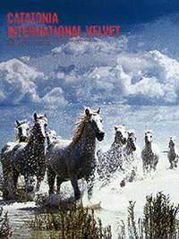 Catatonia: International Velvet