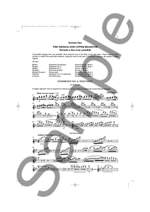 Trevor Wye: The Orchestral Flute Practice Book 2 Product Image