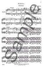Ludwig van Beethoven: Fidelio Product Image