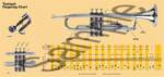 Trumpet Fingering Chart Product Image