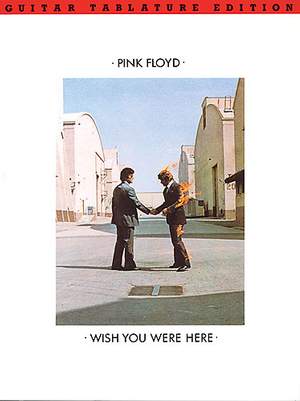David Gilmour_Pink Floyd_Roger Waters: Wish You Were Here