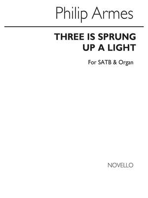 Philip Armes: There Is Sprung Up A Light