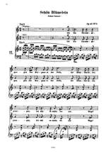 Schumann, R: 34 Vocal Duets Product Image