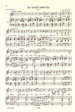 Schumann, R: Complete Songs Vol.2: 87 Songs Product Image