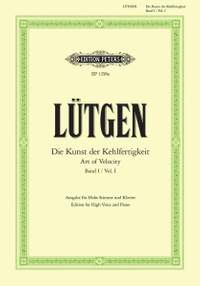 Lutgen, B: Art of Velocity Vol.1