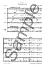 French Chansons. Product Image