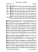 Masterworks from Venice Product Image