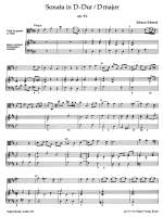 Schenck, J: Sonata in D, Op.9/ 1 from: L'Echo du Danube Product Image