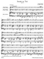 Dornel, A: Trio Sonata in B minor, Op.3/3 Product Image
