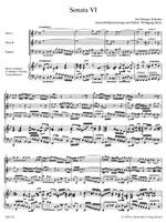 Zelenka, J: Sonata No.6 in C minor Product Image