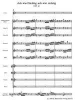 Bach, JS: Cantata No. 26: Ach wie fluechtig, ach wie nichtig (BWV26) (Urtext) Product Image