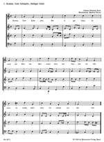 Bach, JS: Chorales for Pentecost & Trinity (12) Product Image