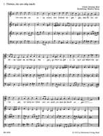 Bach, JS: Passion & Easter Chorales (12) Product Image