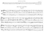 Bach, JS: Organ Works Vol. 3: Separate Organ Chorales (Urtext) Product Image