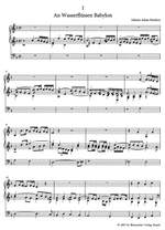 Bach, JS: Weimar Organ Tablature. J. S. Bach's earliest music manuscripts and copies by his pupil Johann Martin Schubart Product Image