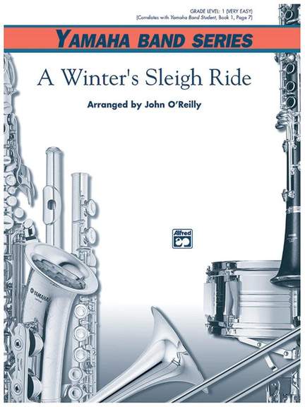 A Winter's Sleighride