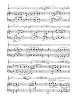 Camille Saint-Saëns: Clarinet Sonata Op.167 Product Image