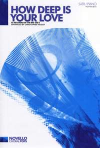 Chris Hussey: How Deep Is Your Love