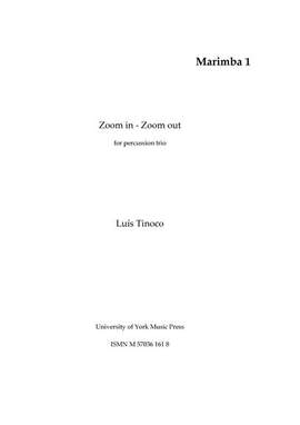 Luís Tinoco: Zoom in - Zoom out