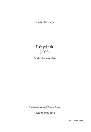 Luís Tinoco: Labyrinth