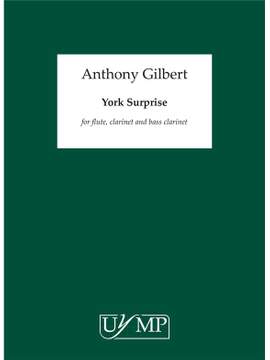 Anthony Gilbert: York Surprise