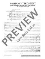 Coenen, P: Weihnachtskonzert op. 119 Product Image