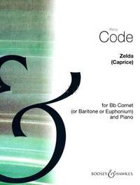 Code, P: Zelda