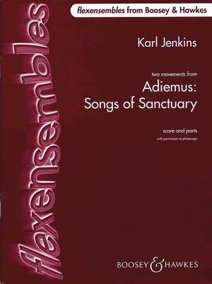 Jenkins, K: Adiemus - Songs of Sanctuary