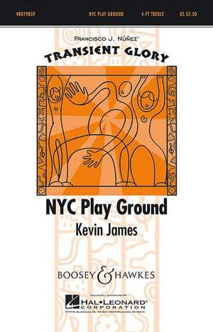James, K: Nyc Play Ground