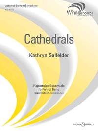 Salfelder, K: Cathedrals