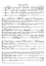 Hoffmann, J: String Quartet in G Product Image