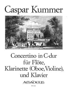 Kummer, K: Concertino C major C major op. 101