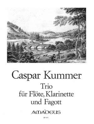 Kummer, K: Trio op. 32