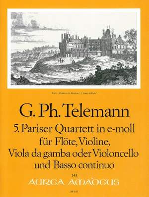 Telemann: 5th Paris Quartet E minor TWV 43:e1