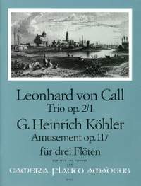 Trio op. 2/1 / Amusement op. 117