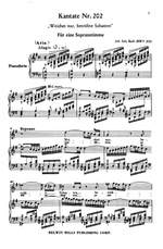 Johann Sebastian Bach: Cantata No. 202 -- Weichet nur, betrubte Schatten Product Image