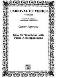 Jaroslav Cimera: Carnival of Venice
