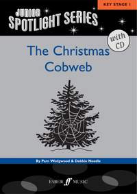 Pam Wedgwood_D. Needle: Christmas Cobweb