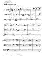 Orchestral Bowing: Style and Function Product Image