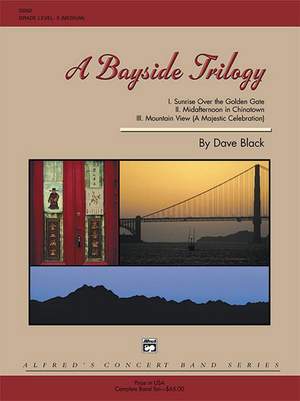 Dave Black: A Bayside Trilogy