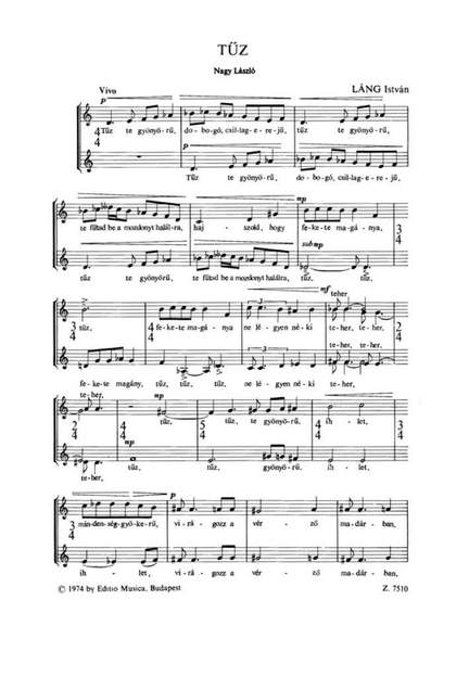 Lang, Istvan: Tuz
