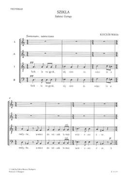 Kocsar, Miklos: Szikla