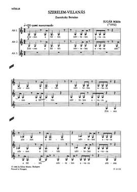 Sugar, Rezso: Szerelem-villanas