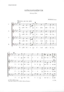 Bardos, Lajos: Szekesfehervar
