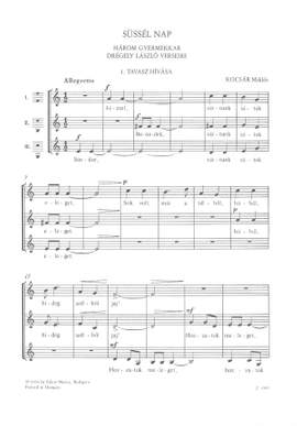 Kocsar, Miklos: Sussel nap