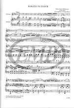 Hoffmeister, Franz Anton: Sonata in D major Product Image