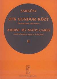 Sarkozy, Istvan: Sok gondom kozt 2