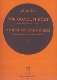 Sarkozy, Istvan: Sok gondom kozt 1