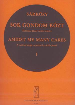 Sarkozy, Istvan: Sok gondom kozt 1